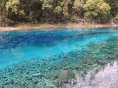  九寨沟 世界遗产5A景区世界生物圈国家