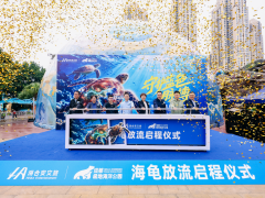 守护蔚蓝脉搏——成都极地海洋公园280余只”蓉籍”绿海龟千里归海 - 旅游推荐